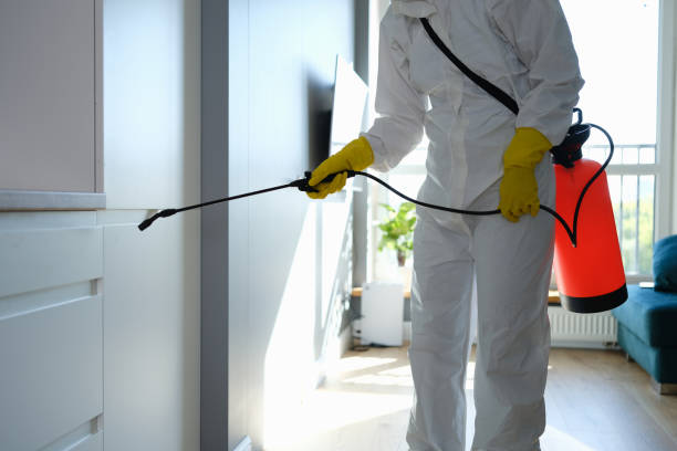 Best Office Mold Removal Services  in Point Roberts, WA