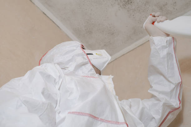 Best Mold Removal and Inspection  in Point Roberts, WA