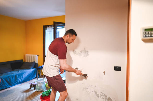 Best Mold Cleaning Services  in Point Roberts, WA