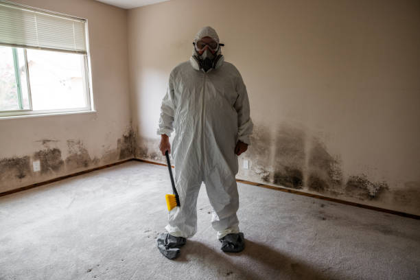 Best Black Mold Removal  in Point Roberts, WA